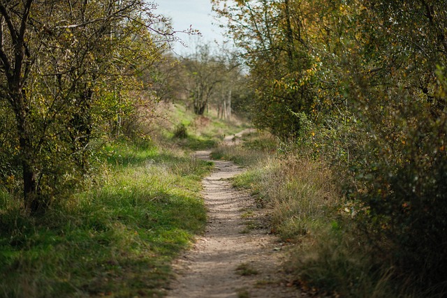 Free Nature Landscape photo and picture
