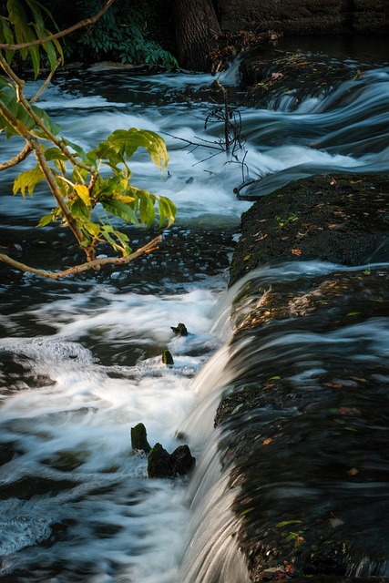 Free Stream Waterfall photo and picture
