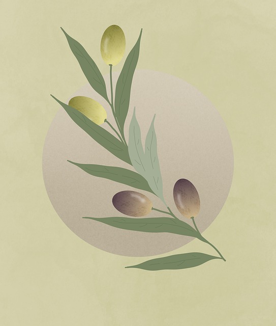 Free olives leaves healthy illustration