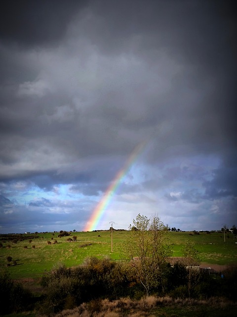 Free Rainbow Nature photo and picture