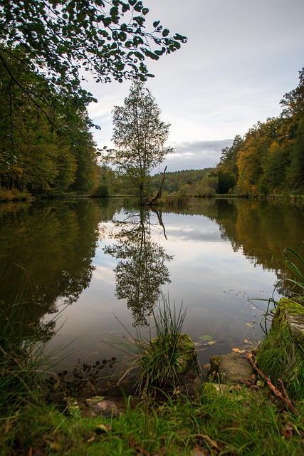 Peisaj, Natură, Lac, Toamna