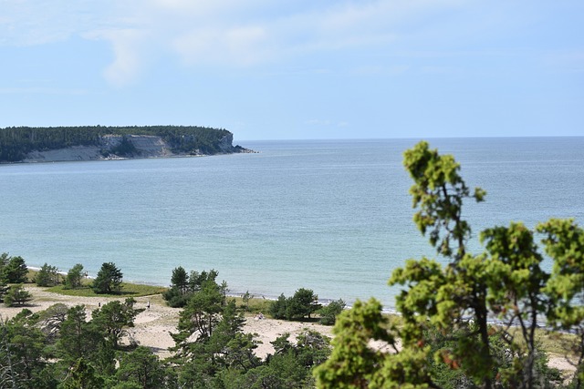 Free Gotland Nature photo and picture