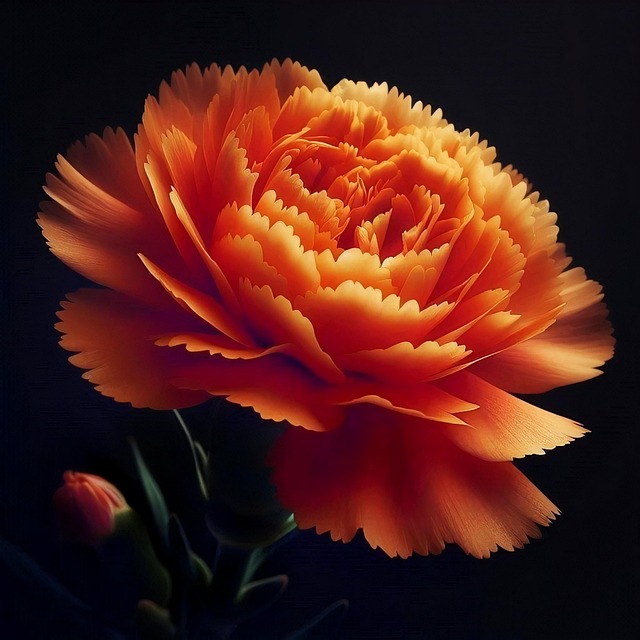 Free ai generated carnation flower illustration