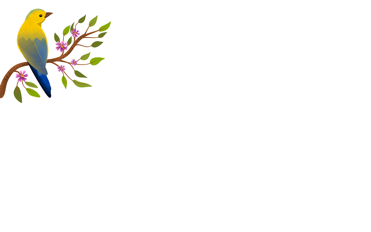 Download free HD stock image of Bird Background Free bird background nature illustration