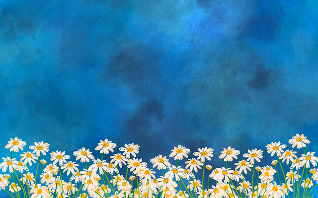 Free Flowers Floral illustration and picture