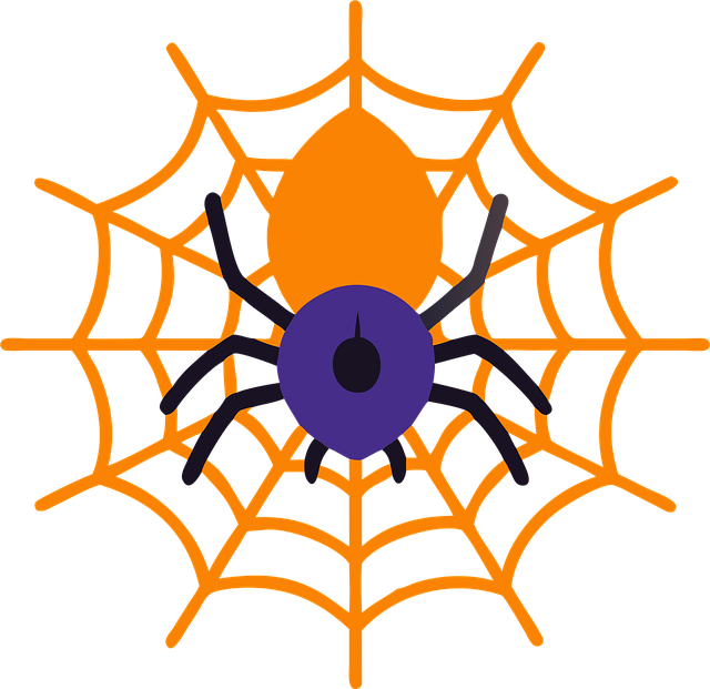 Free spider nature web vector