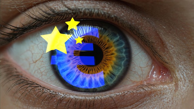 Oog, Detailopname, Pupil Iris, Reflectie