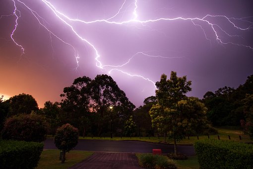 Free Lightning Florest photo and picture