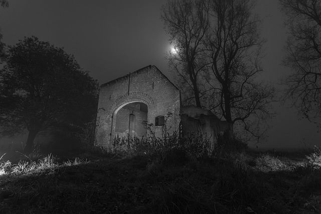 Free Ruin Nature photo and picture