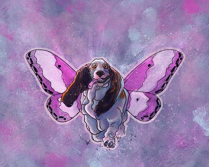 Cachorro, Bicho De Estimação, Bonitinho
