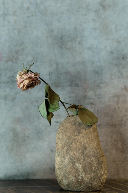 Free Flower Nature photo and picture