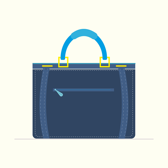 Download free HD stock image of Handbag Bag Free handbag bag purse vector