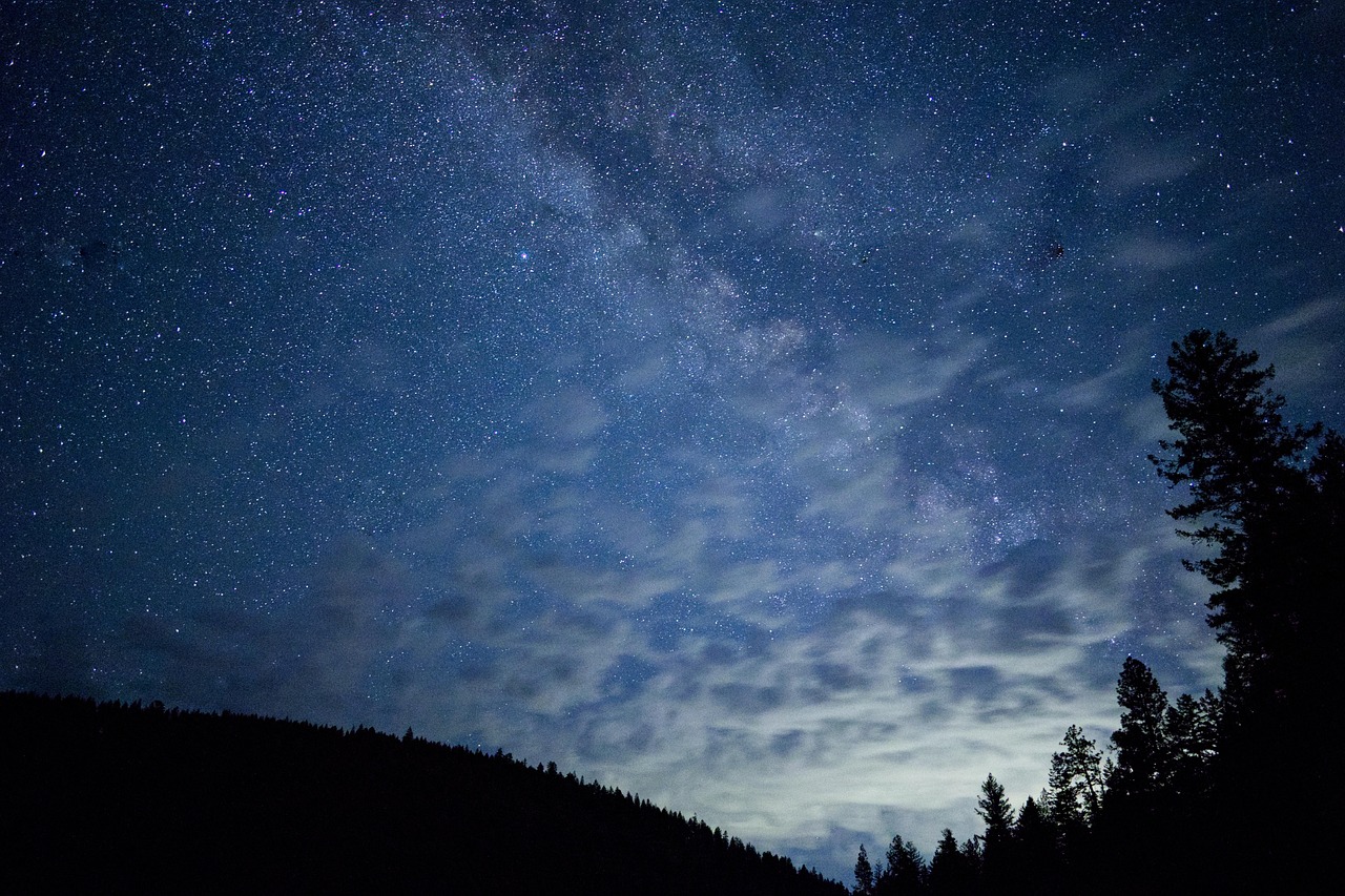 森林 夜晚 天空 - Pixabay上的免费照片