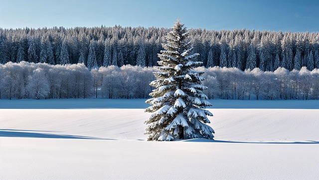 Free ai generated winter tree illustration