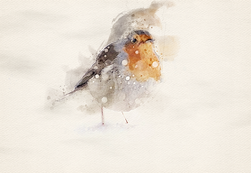 Aquarela, Pássaro, Pintar, Rotkelchen