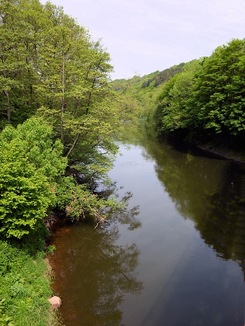 Free River Landscape photo and picture