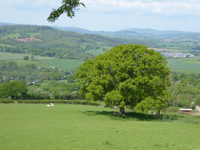 Free Scenic Countryside photo and picture