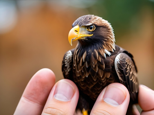 Ai Generado, Águila Miniatura