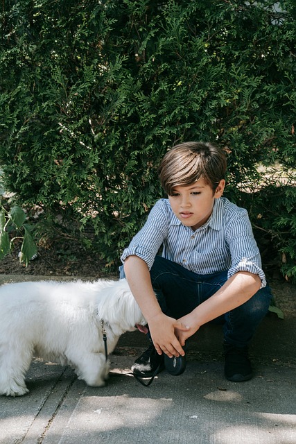 Free Boy Animal photo and picture