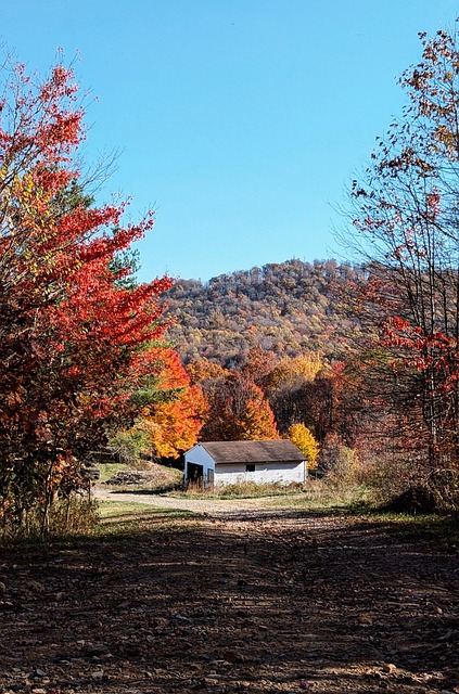 Free Shed Shop photo and picture