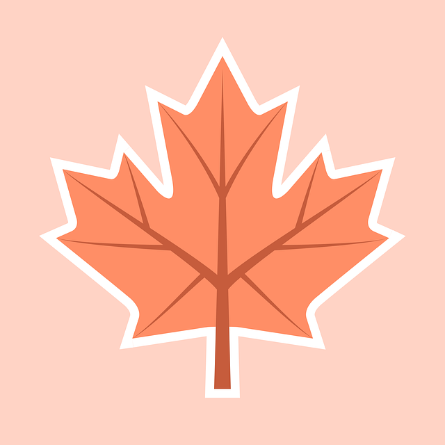 Free autumns fall nature vector