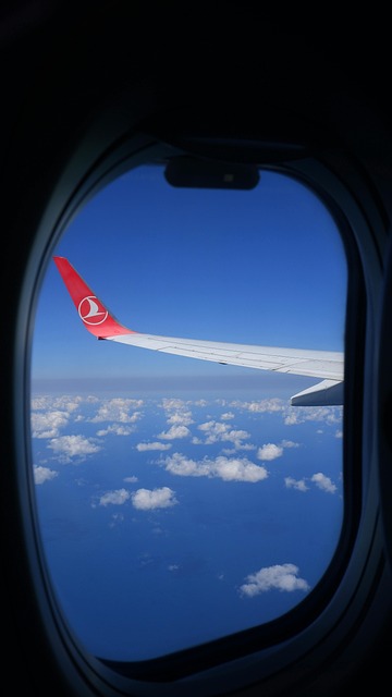 Free Flight Flying illustration and picture