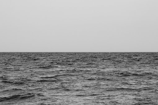 Free Blackandwhite Nature photo and picture