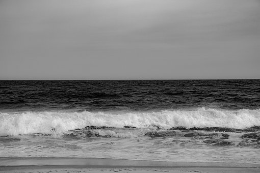 Free Beach Nature photo and picture