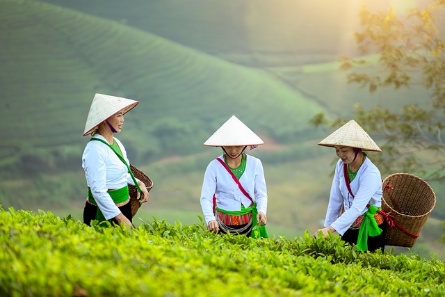 Download free HD stock image of Women Farmer Free Women Farmer photo and picture