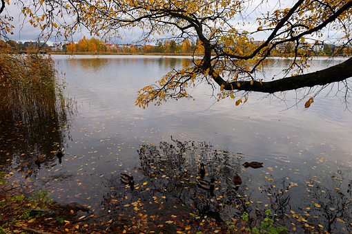 Efterår, Efterårs Eventyr
