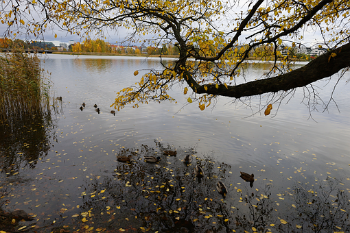 Efterår, Efterårs Eventyr