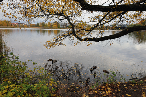 Efterår, Efterårs Eventyr