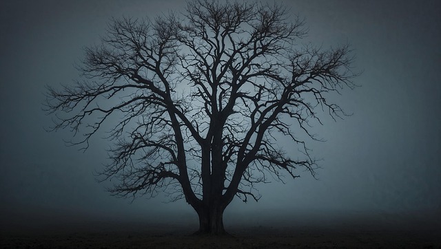 Free ai generated tree nature illustration