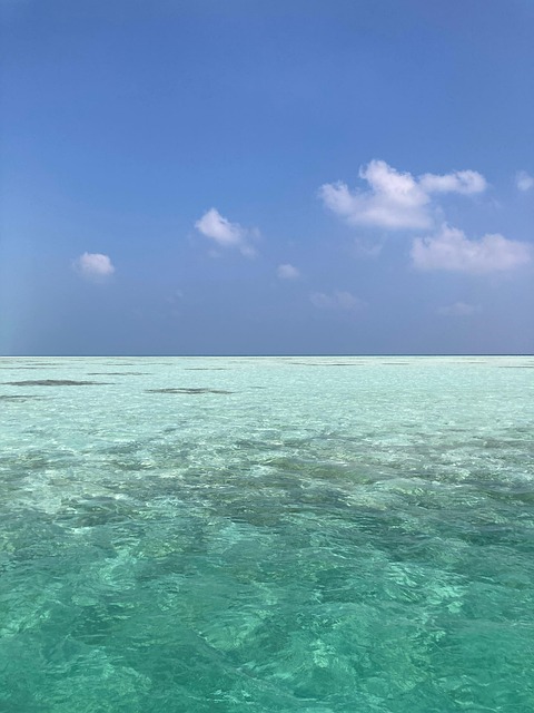 Free Sea Green photo and picture