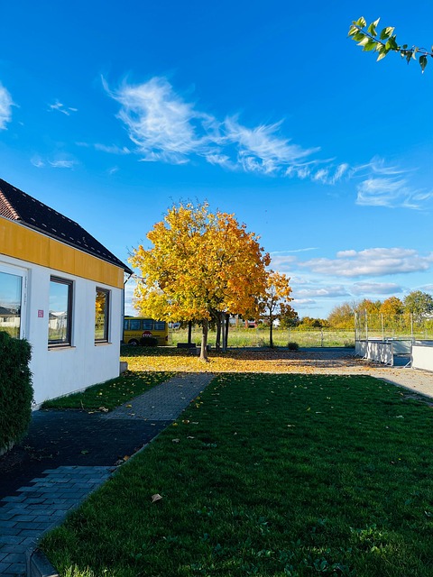 Otoño, Naturaleza, Sale De, Bosque