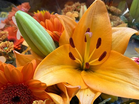 Free Bouquet Flowers photo and picture