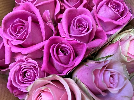 Free Bouquet Flowers photo and picture