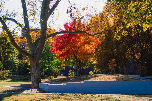 Free Autumn Fall photo and picture