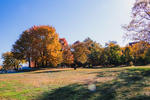 Free Autumn Fall photo and picture