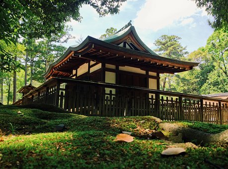 Free Japan Contest Japan photo and picture
