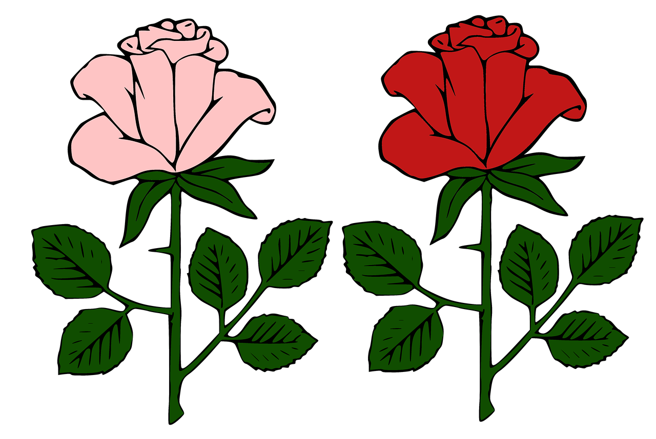 Three Roses Cartoon 30,000+ Free Cartoon Rose & Cartoon Images - Pixabay