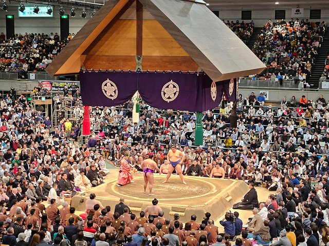 Japan, Sumo, Kæmpe, Wrestler, Sport