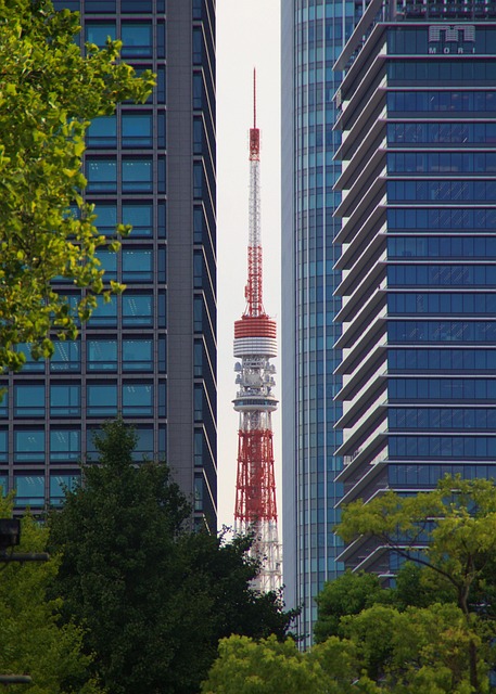 Free Japancontest Tokyo photo and picture