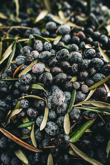 Aceituna, Aceite, Comida, Naturaleza