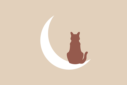Free Moon Cat illustration and picture