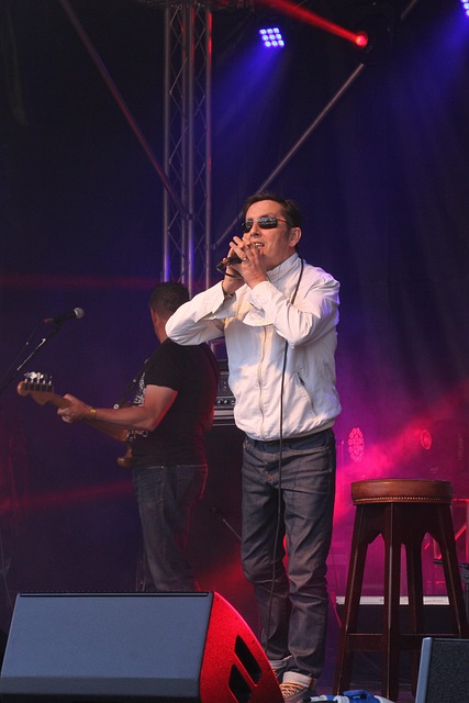 Kapela, Koncert, Hudba, Hlas, Zpěv
