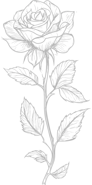 Ai Genereret, Rose, Blomst, Stregtegning