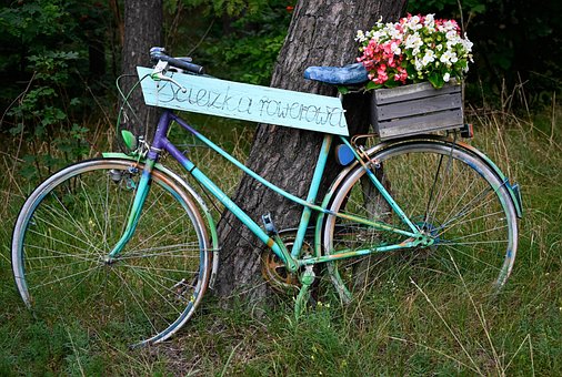 Ruderer, Ruderboot, Radfahrer, Fahrrad