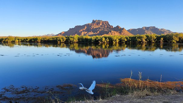 Rivier, Berg, Natuur, Reiger