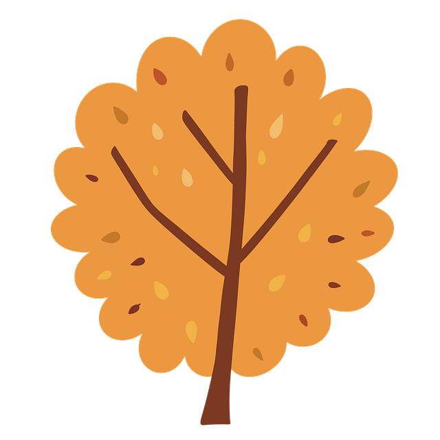 Baum, Geäst, Blätter, Laub, Herbst, Wald